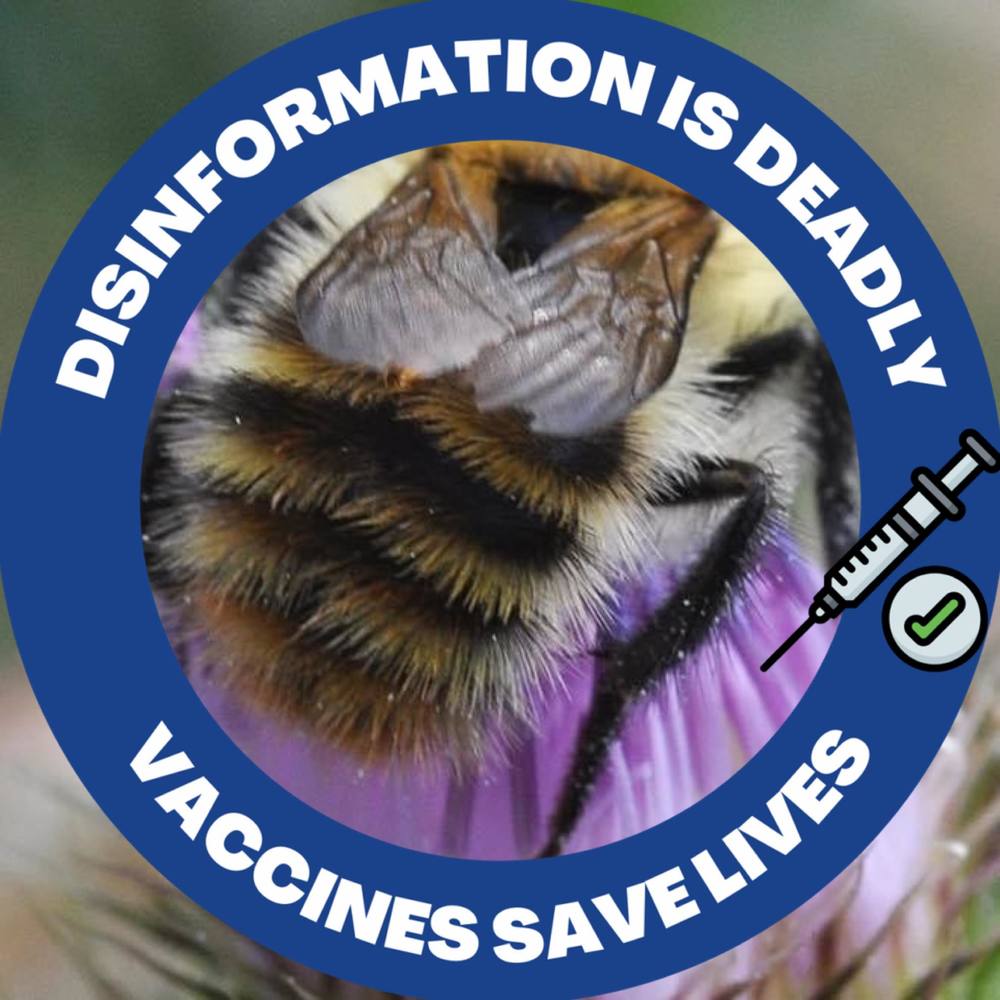 Meet your Posher, Phyllis